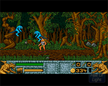Barbarian II (Psygnosis) - Screenshot - Gameplay Image