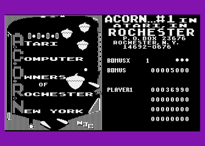 Acorn