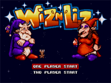 Wiz 'n' Liz - Screenshot - Game Title Image