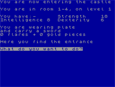 Sorcerer's Castle - Screenshot - Gameplay Image