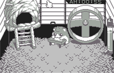 Dokodemo Hamster - Screenshot - Gameplay Image