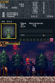 Castlevania: Order of Ecclesia - Screenshot - Gameplay Image