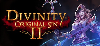 Divinity: Original Sin II - Banner Image