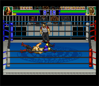 Shin Nihon Pro Wrestling Kounin: '94 Battlefield in Tokyo Dome - Screenshot - Gameplay Image
