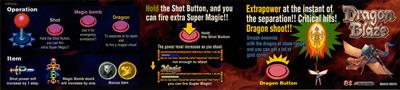 Dragon Blaze - Arcade - Controls Information Image