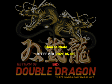 Return of Double Dragon: Extended Edition - Screenshot - Game Select Image