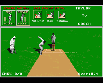 ITS Cricket: International Test Series (1995 Edition) - Screenshot - Gameplay Image
