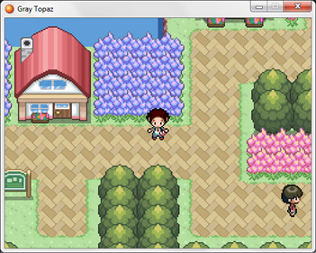 Pokémon Gray Topaz - Screenshot - Gameplay Image