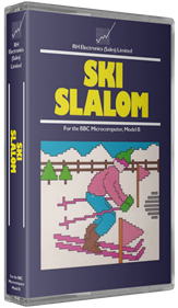 Ski Slalom - Box - 3D Image