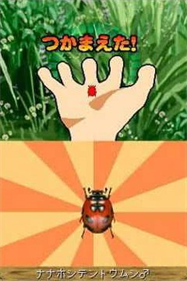 Beetle King - Screenshot - Game Title Image