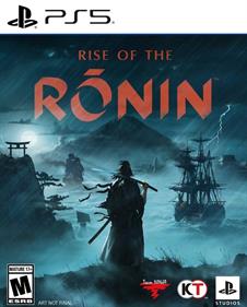 Rise of the Rōnin