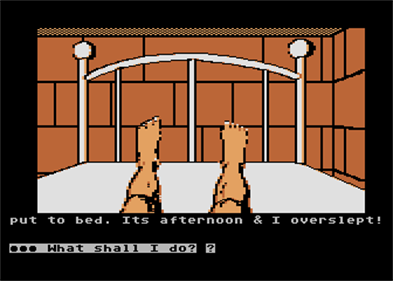 Scott Adams' Graphic Adventure #5: The Count  - Screenshot - Gameplay Image