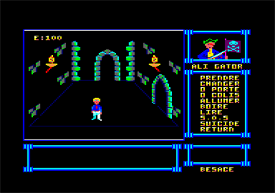 Le Tresor d'Ali Gator - Screenshot - Gameplay Image