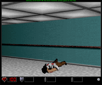 Sensory Overload - Screenshot - Gameplay Image