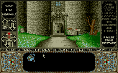 Elvira - Screenshot - Gameplay Image