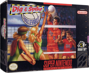 Dig & Spike Volleyball - Box - 3D Image