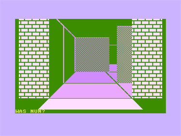 3D-Irrgarten - Screenshot - Gameplay Image