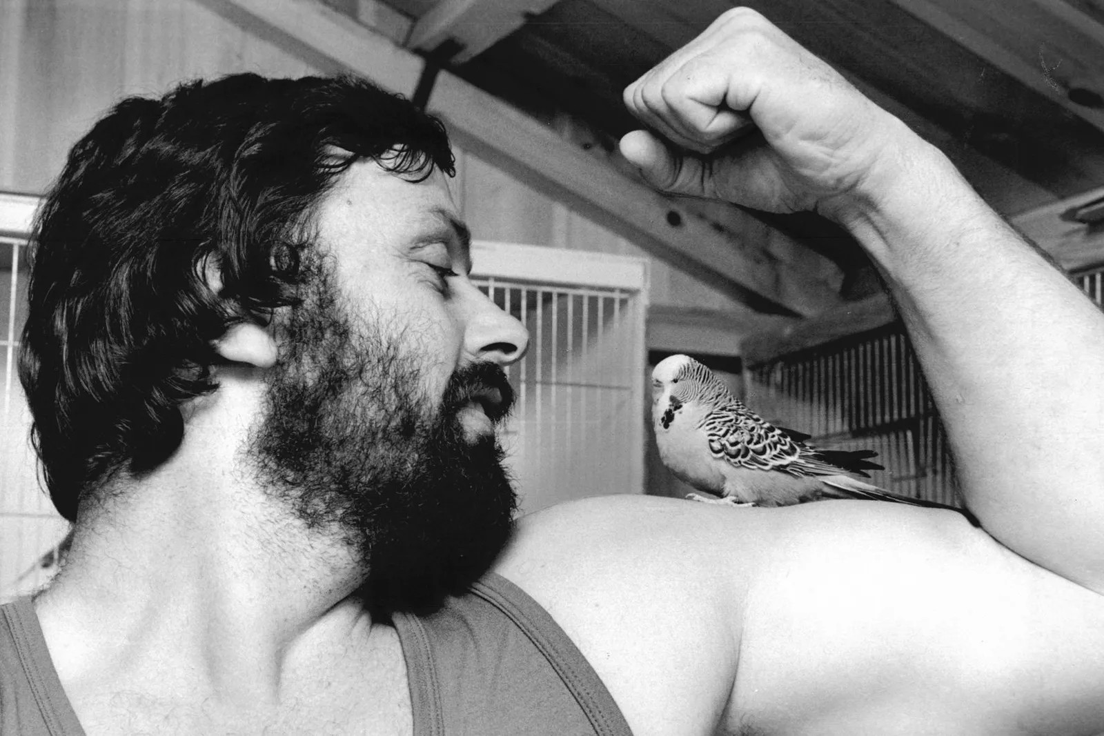 Geoff Capes Strongman