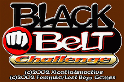 Black Belt Challenge - Screenshot - Game Title Image