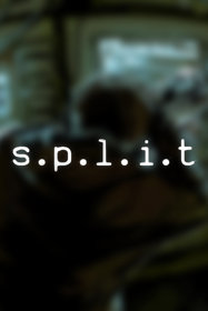 s.p.l.i.t.