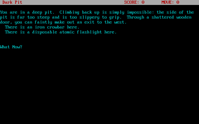 In the Year 2366: Klingon Role Playing Game