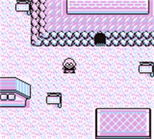 Pokémon Black (GameBoy) - Screenshot - Gameplay Image