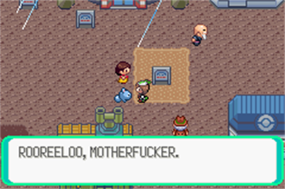 Pokémon Derp Emerald - Screenshot - Gameplay Image