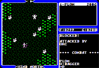 Ultima IV: Quest of The Avatar - Screenshot - Gameplay Image