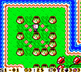 Bomberman Max: Ain Version - Screenshot - Gameplay Image