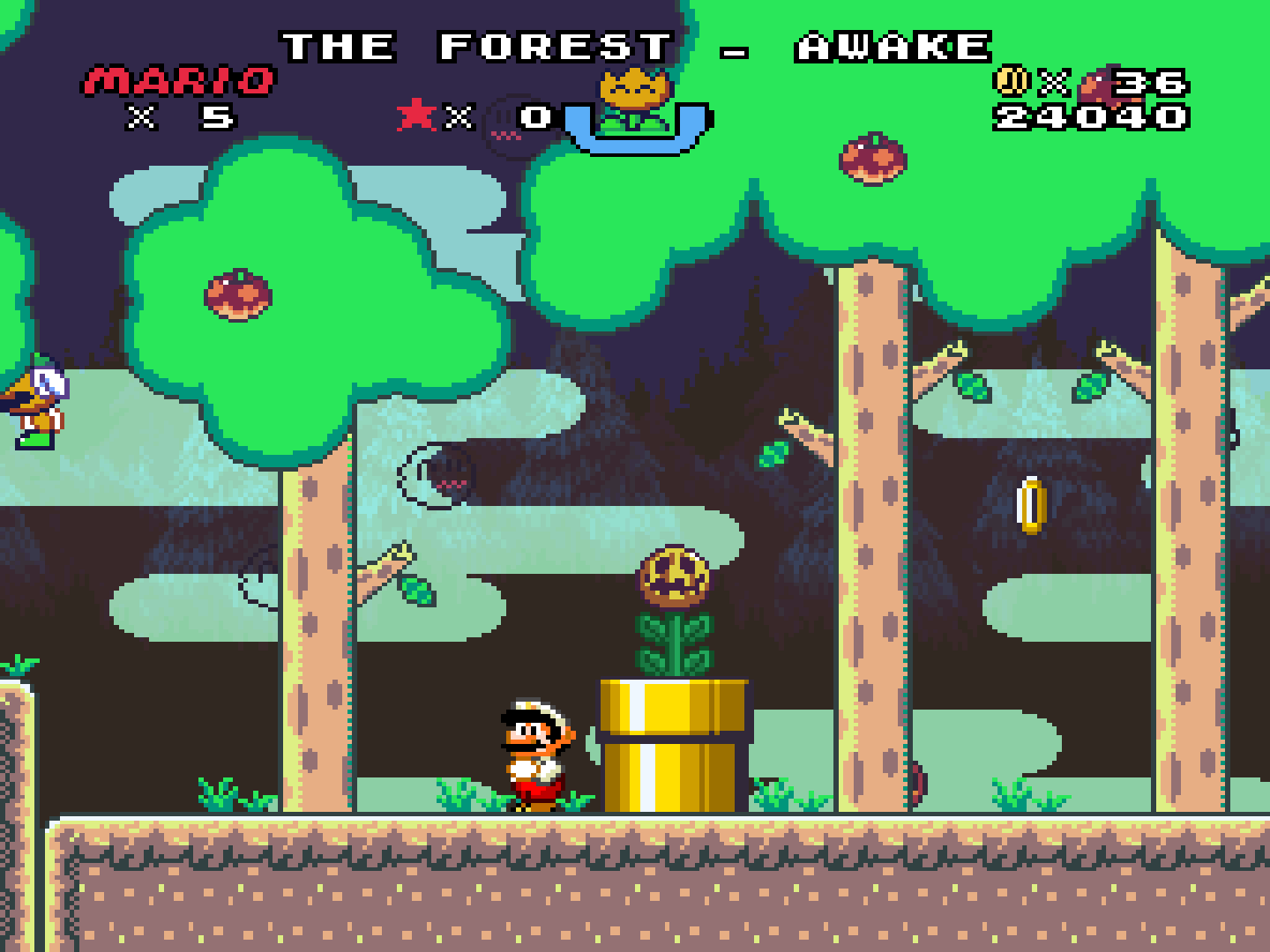Super Mario: The Cursed Forest