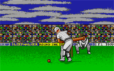 World Cricket - Screenshot - Gameplay Image