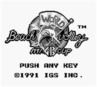 World Beach Volley: 1991 GB Cup Details - LaunchBox Games Database