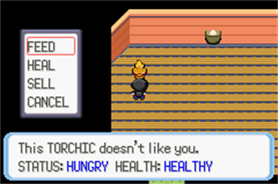 Pokémon HarvestCraft - Screenshot - Gameplay Image