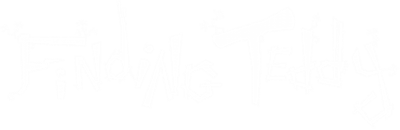 Finding Teddy - Clear Logo Image