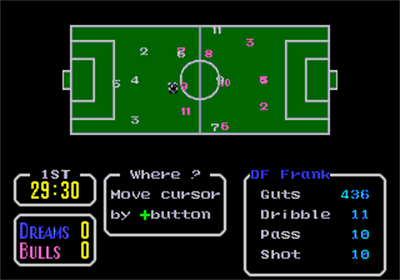 Tecmo Cup Football Game - Screenshot - Gameplay Image
