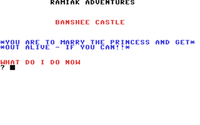 Banshee Castle - Screenshot - Game Title