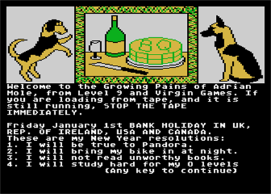 The Growing Pains of Adrian Mole - Screenshot - Game Title Image