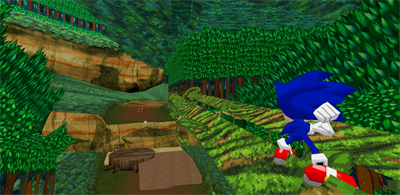 Sonic Rush 3D - Screenshot - Gameplay Image