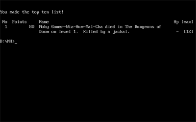 NetHack - Screenshot - High Scores Image