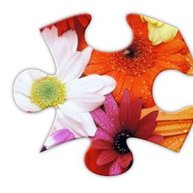 Jigsaws Galore