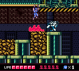 Ninja Gaiden Shadow DX