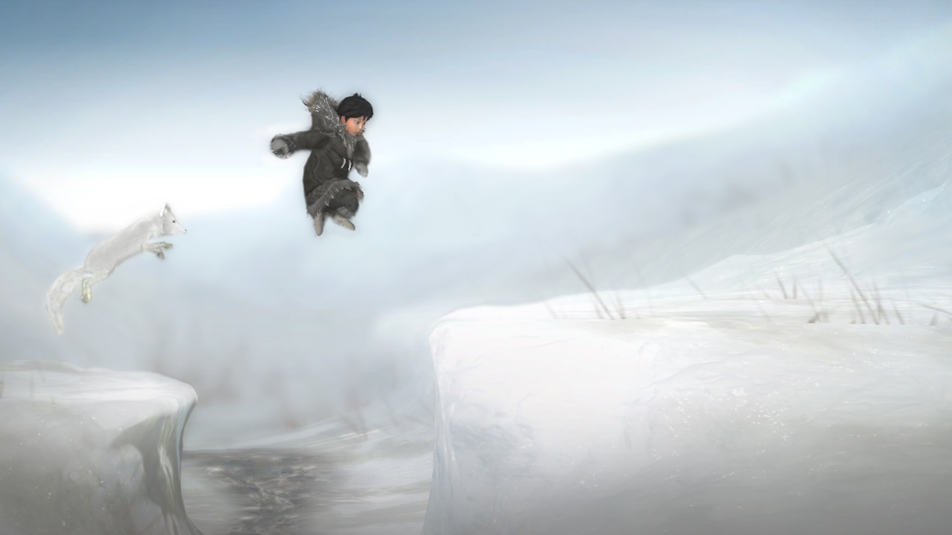 Never Alone Arctic Collection