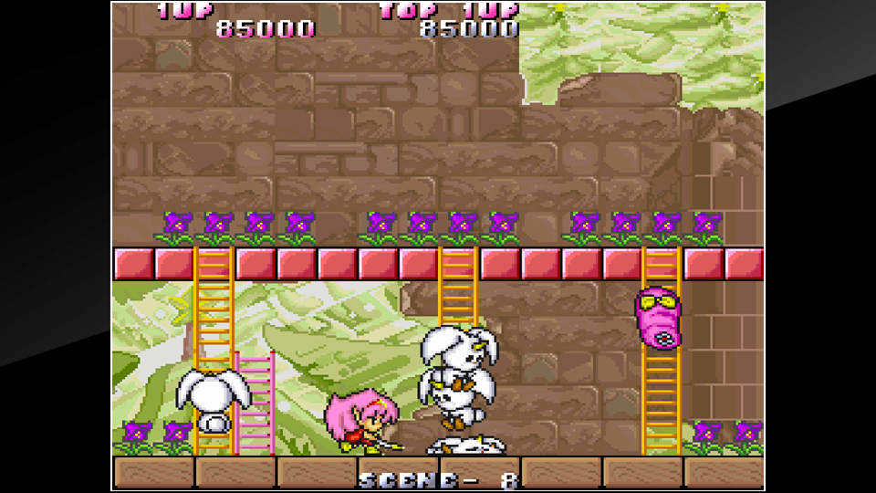 Arcade Archives Rod Land