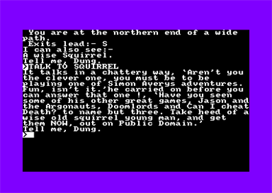 Dungeon Adventure (Simon Avery) - Screenshot - Gameplay Image