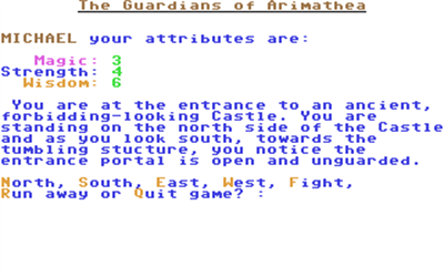 The Guardians of Arimathea - Screenshot - Gameplay Image