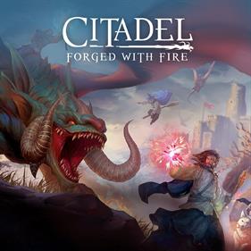Citadel: Forged with Fire - Advertisement Flyer - Front Image