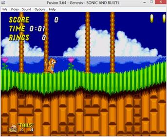 Buizel in Sonic 2 - Screenshot - Gameplay Image