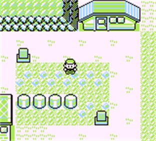 Pokémon Black (GameBoy) - Screenshot - Gameplay Image