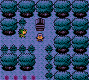 Pokémon Crystal Version: Emu Edition - Screenshot - Gameplay Image