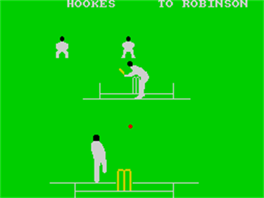 Graham Gooch's Test Cricket - Screenshot - Gameplay Image